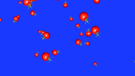 vegetables falling animation chroma key element loop, tomato