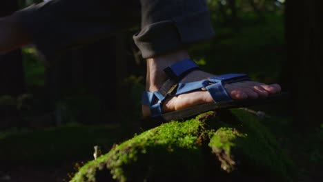closeup of feet as they climb over a moss covered log in a forest