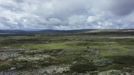 low flyover of untrampled barren tundra landscape in central norway