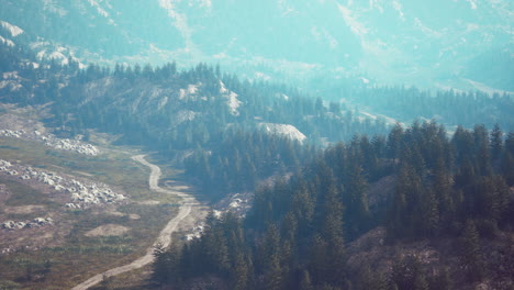 aerial view of green coniferous forest in the mountains