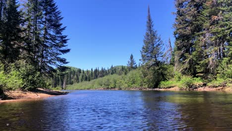 looking down at a blue flowing river with tall pine trees lining the side of its banks on the rivière du diable