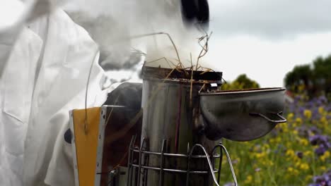 beekeeper with bee smoker