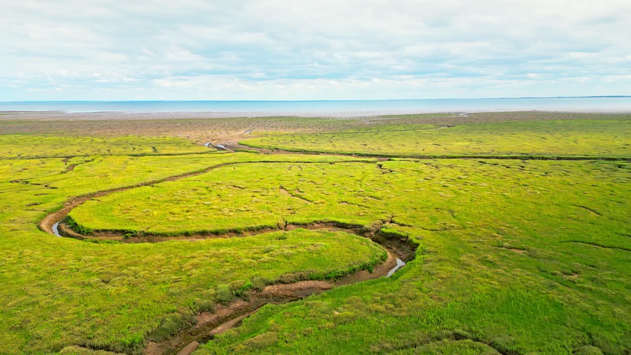 소금 습지 에서 균열 된 진 평면