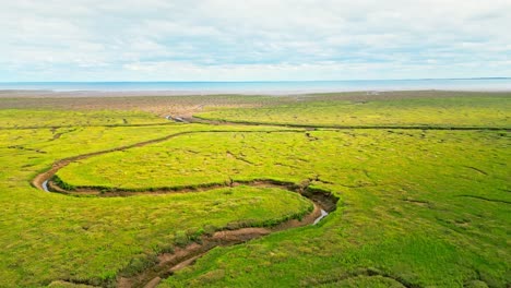 cracked mud flats in a salt marsh