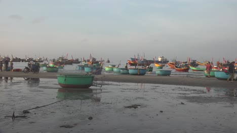 Los-Peces-Costeros,-También-Llamados-Peces-De-Bajura-O-Peces-Neríticos,-Habitan-El-Mar-Entre-La-Línea-De-Costa-Y-El-Borde-De-La-Plataforma-Continental.