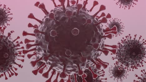 imagen puntiaguda púrpura del coronavirus girando sobre un fondo rosado claro - toma de primer plano