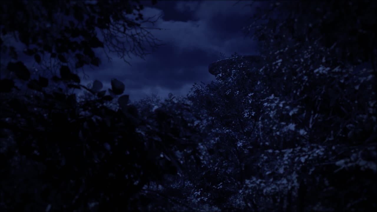 Stunning distant nigh time shot through the canopy of trees in a forest in the wilderness, as a huge circular UFO flying saucer spins slowly over the woodlands
