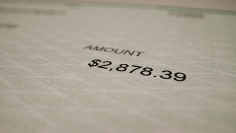 detail shot of a large income check