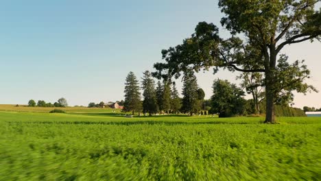 Großes-Feld-Außerhalb-Des-Gorham-Friedhofs