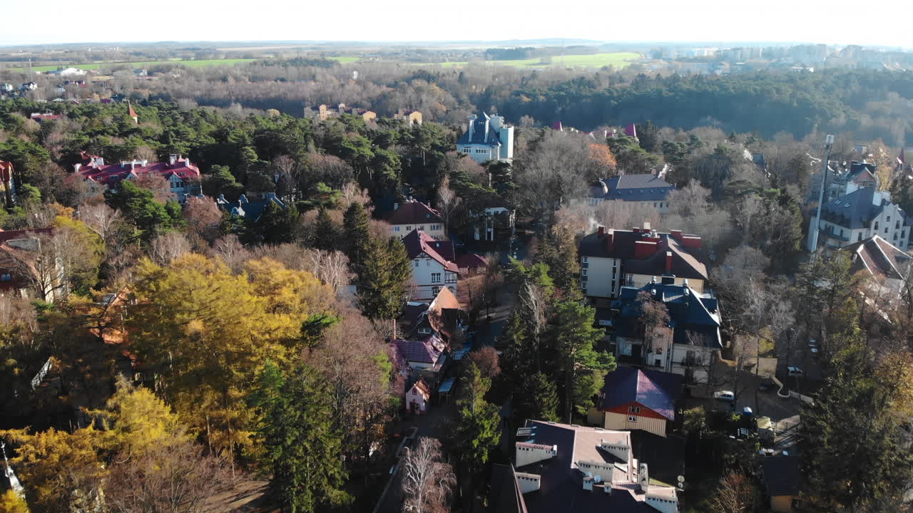 Aerial View of a City with Buildings and Forest