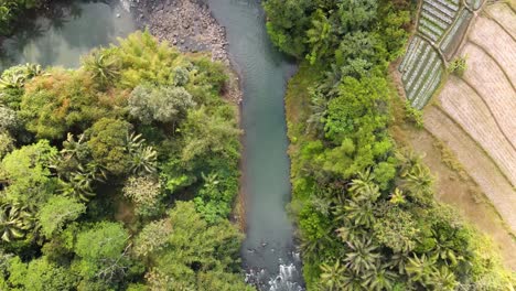 Drone-shot-of-tropical-river-in-Indonesia-with-dense-of-trees