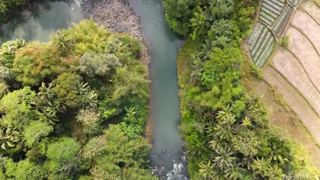 drone shot of tropical river in indonesia with dense of trees