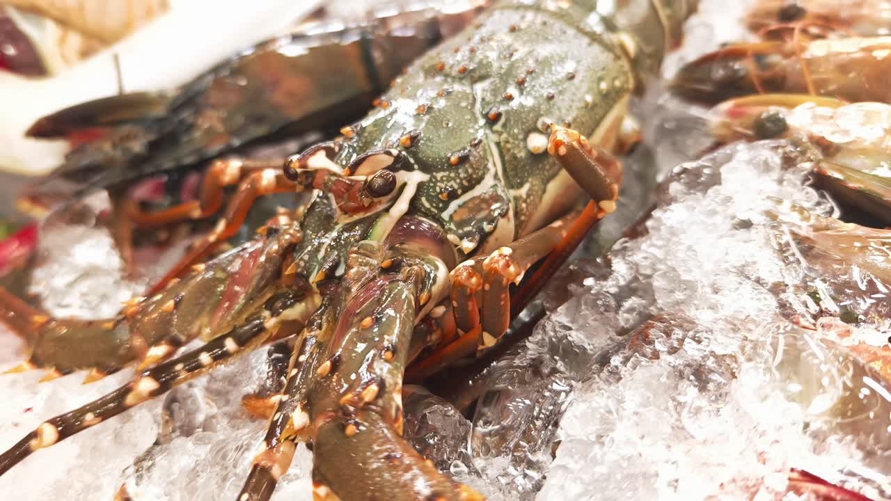 Fresh Lobster and Shrimp on Ice