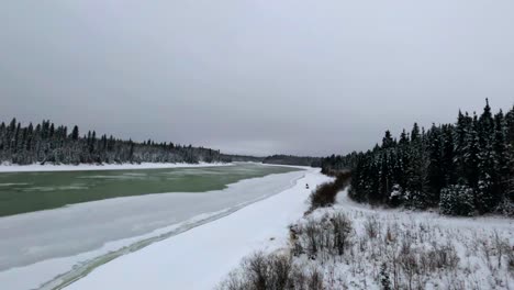 4k fpv drone dive from a high altitude, rapidly descending to cross paths with a snowmobile riding beside a frozen river and a forest of pine trees.