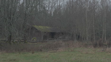 abandoned barn in the middle of nowhere