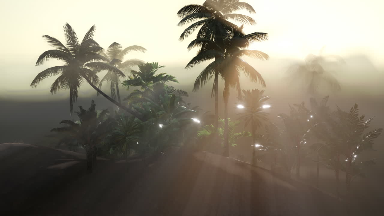 palmeras de coco paisaje tropical