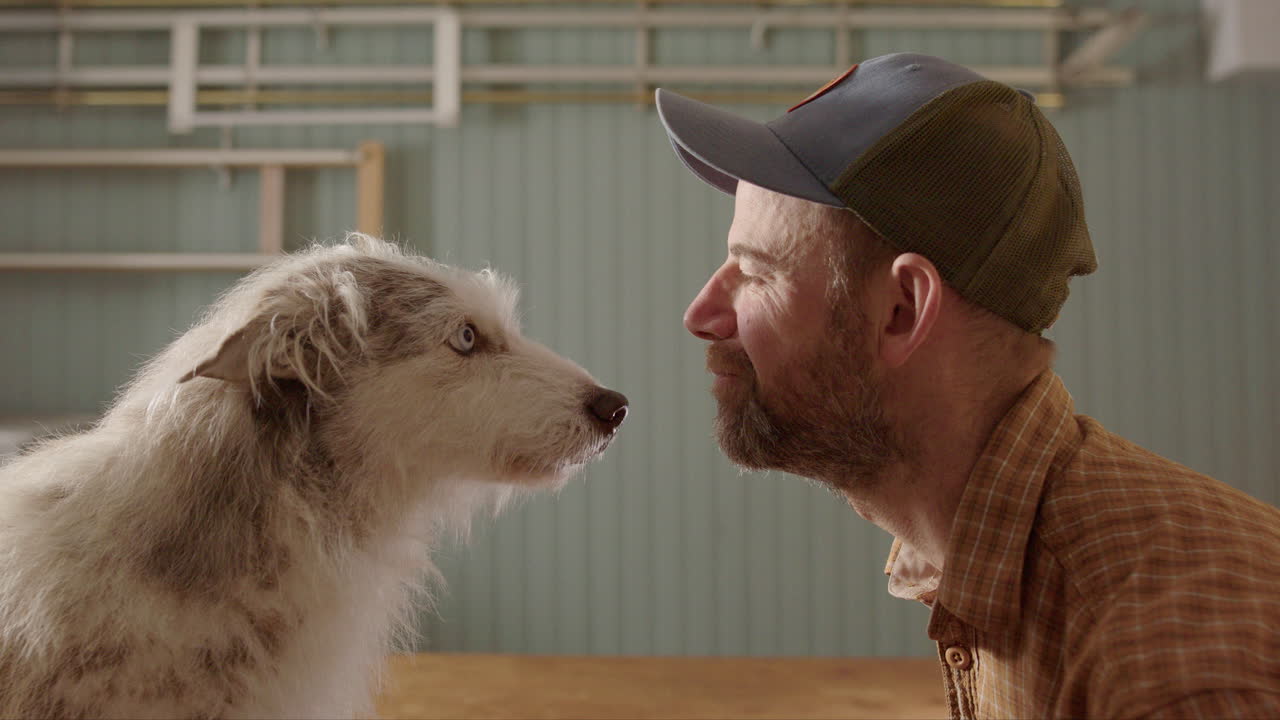 Seated man with cap intense stare off with blue-eyed husky collie dog, profile