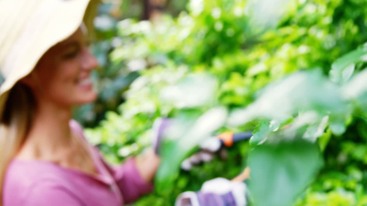 아름다운 여자 가 가공 가위 로 식물 을 가공 하고 있다