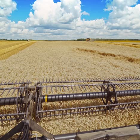 combine in the field of wheat