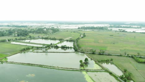 Luftaufnahme-Eines-Natürlichen-Landwirtschaftlichen-Bauernhofs-Und-Feuchtgebieten-In-Westbengalen