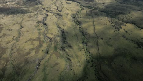 vista aérea alta de la hierba verde en el antiguo paisaje de flujo de lava de hawai