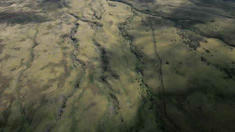 vista aérea alta de la hierba verde en el antiguo paisaje de flujo de lava de hawai