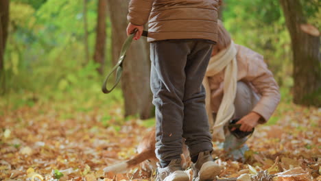 little girl bending down in autumn forest picking up dog leash from golden leaf carpet next to crouching mother holding puppy collar eager beagle tail wagging in vibrant fall woodland