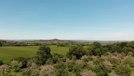 sunshine views across the fields and orchards in somerset with glastonbury tor in the background