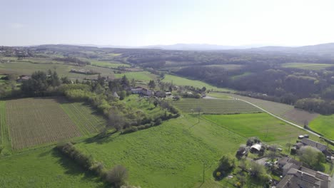 Bewirtschaftete-Landwirtschaftliche-Felder,-Frankreich