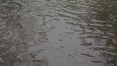 Gotas-De-Lluvia-En-Agua-Turbia-Durante-La-Temporada-De-Lluvias