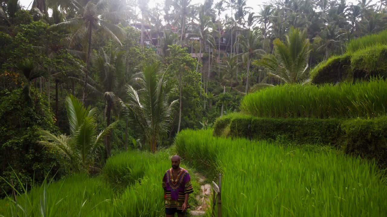 hombre camina en terrazas de arroz tegalalang durante la hora dorada en ubud, bali, indonesia