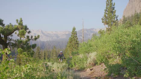 a mountain biker rides on a path near a forest