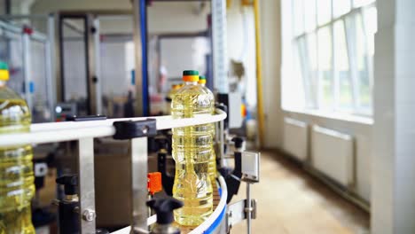 bottle with sunflower oil on the conveyor. bottles of olive oil travelling along the production line inside a factory for the production of edible oils