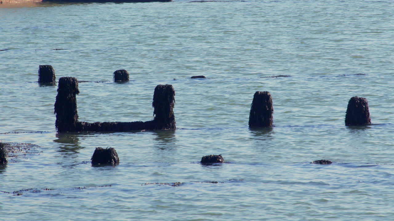 wide shot of seaweed covered sea defences at Brightlingsea