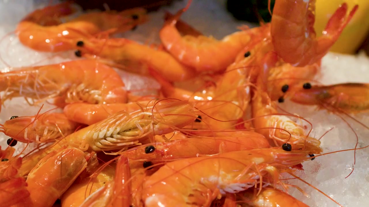 Primo piano di gamberi arancioni sul ghiaccio selezionati con le pinze a un buffet di frutti di mare.
