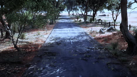 camino vacío en el interior de australia