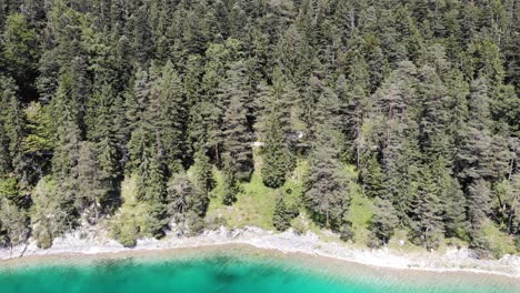 Turquoise-shore-and-pine-trees-in-Eibsee-Lake-in-Germany