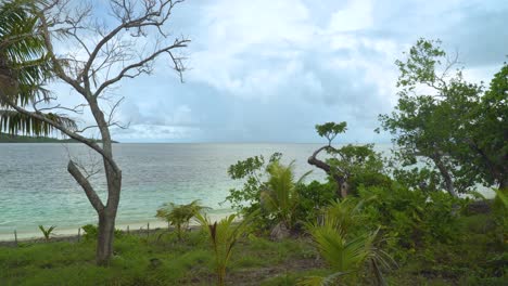Lush-landscape-of-jungle-island-at-sea,-paradise-shoreline,-static-nature-shot