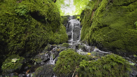 moss-covered waterfall in a lush forest