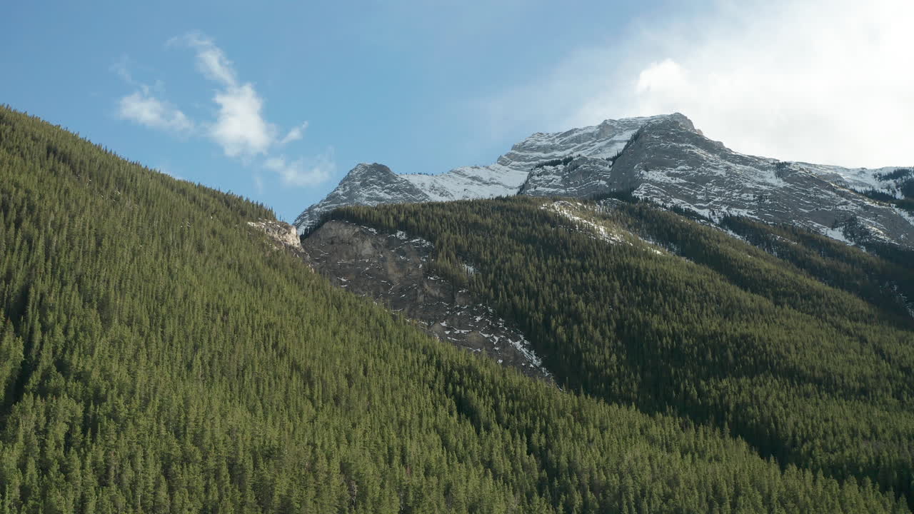 Vista aerea con drone di foresta e montagne mentre vola da destra a sinistra