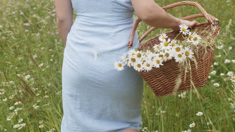 woman in sundress walks barefoot in field picking flowers, tracking