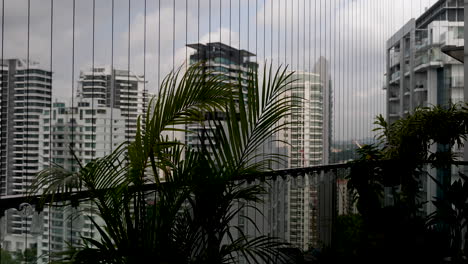 El-Viento-Sopla-A-Través-De-Las-Hojas-De-La-Planta-De-Palma-Areca-En-Un-Balcón-De-Gran-Altura.