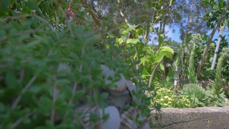 Grüne-Büsche-Und-Muscheldekoration-Mit-Roten-Blumen-Im-Mediterranen-Garten