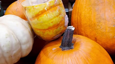 close-up of pumpkins and gourds