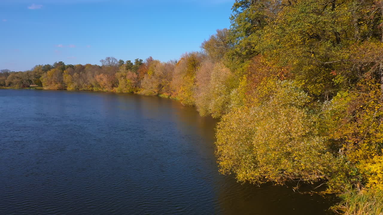 Natural yellow outdoor autumn seasons. Colorful beautiful yellow foliage scenery.