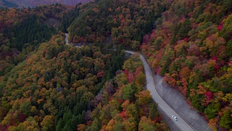 Un-Auto-Conduciendo-Por-Los-Alpes-Japoneses-En-Otoño