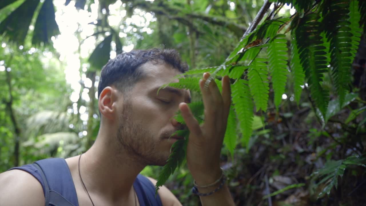 Exploring rainforest jungle vegetation canopy humid forest, white caucasian man Costa Rica