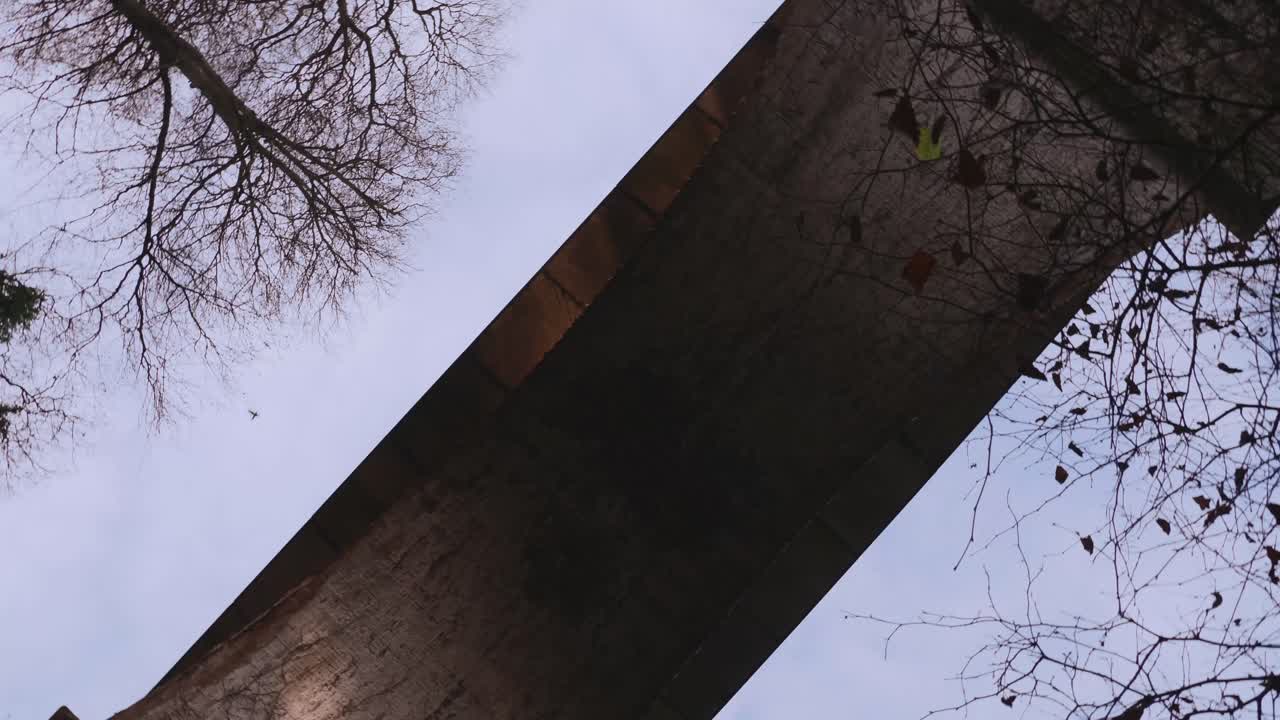 돌 다리 아래에서 회전하는 새가 쳐다보고 있습니다.