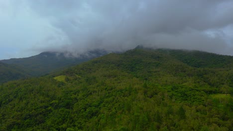 with the tropical mountains as a breathtaking backdrop, the drone shot closes in on the lush forest, immersing the viewer in the verdant canopy below