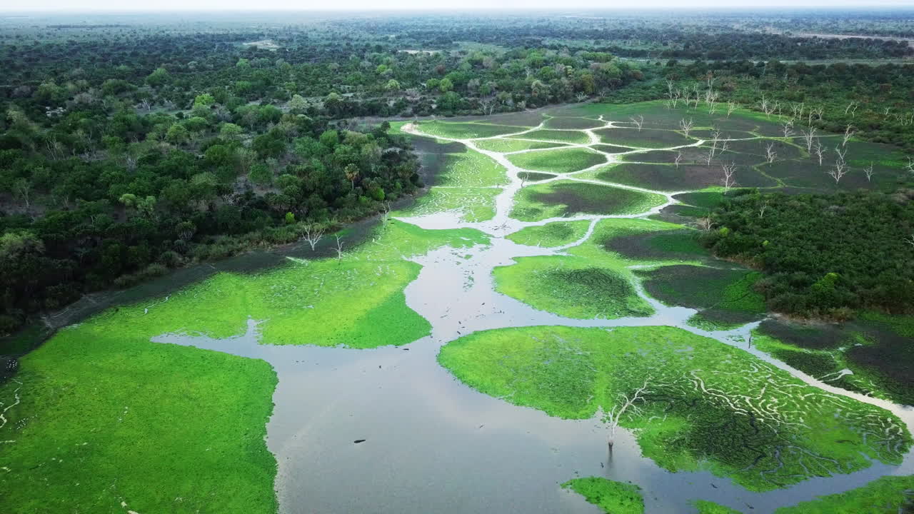 It's home to many amazing wildlife